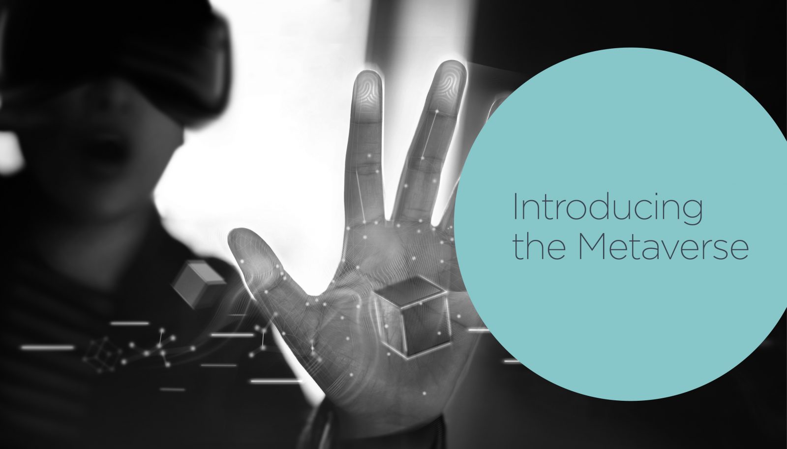 Introducing the Metaverse